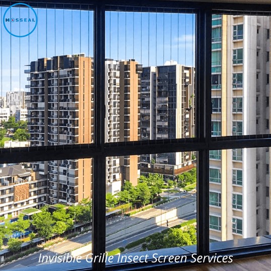 Invisible Grille Insect Screen Install Services Singapore