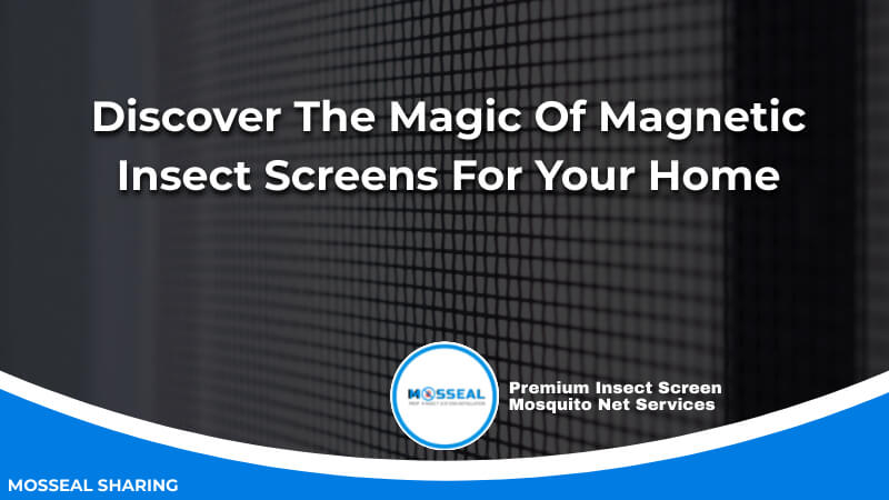Discover The Magic Of Magnetic Insect Screens For Your Home