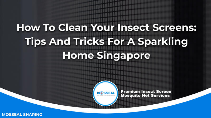 How To Clean Your Insect Screens_ Tips And Tricks For A Sparkling Home Singapore
