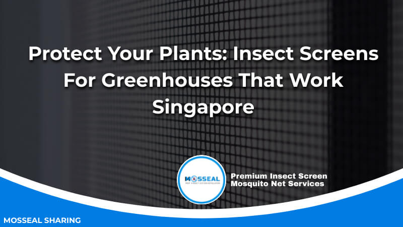 Protect Your Plants_ Insect Screens For Greenhouses That Work Singapore