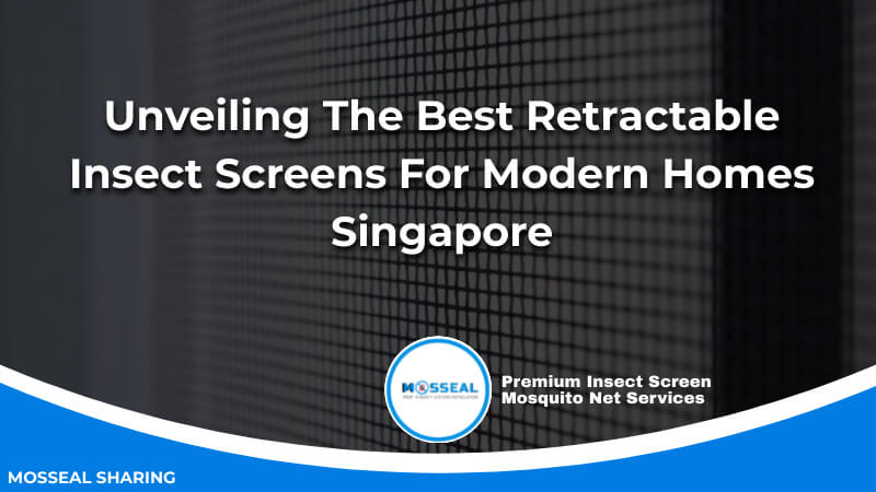 Unveiling The Best Retractable Insect Screens For Modern Homes (1)